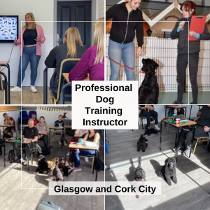 Professional Dog Training Instructor Programme September 2025