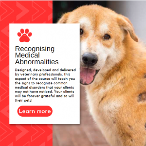 Recognising Medical Abnormalities