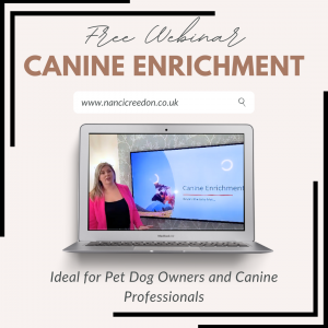 Canine Enrichment - Free Webinar on Living Life to the Full Canine Edition