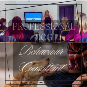 Professional Dog Behaviour Consultant