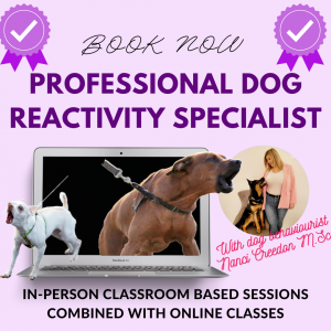 Professional Dog Reactivity Specialist