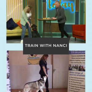 Train Your Dog