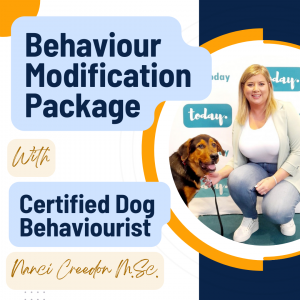 Veterinary Referral Behaviour Modification Sessions with Nanci Creedon M.Sc.