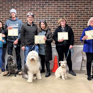 Dog Training Workshop (dogs aged 6mth up to senior dogs)