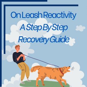 On Leash Reactivity – A Step By Step Recovery Guide
